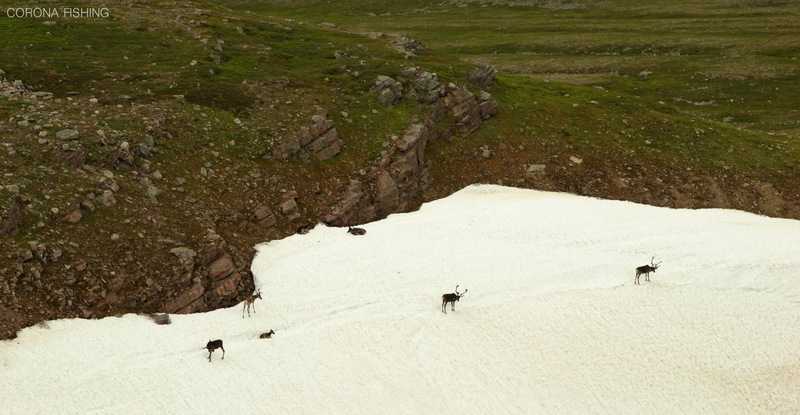 Tam gdzie zaczynają się strumienie.